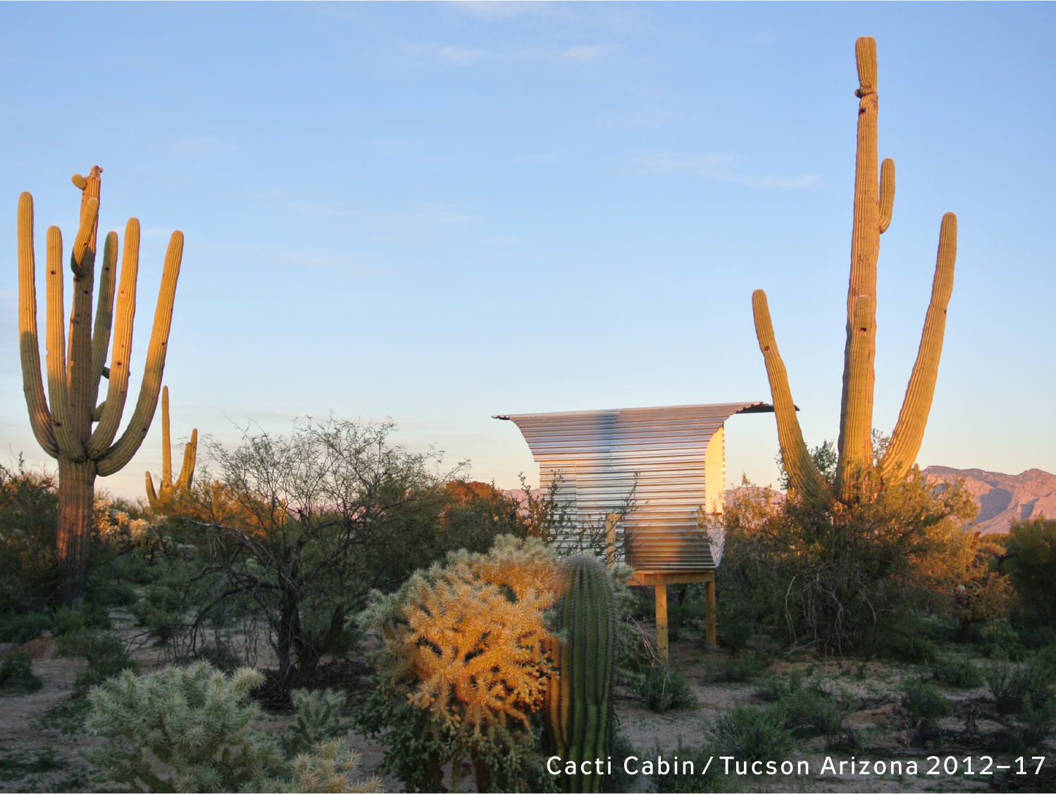 Cacti Cabin 2012–17 